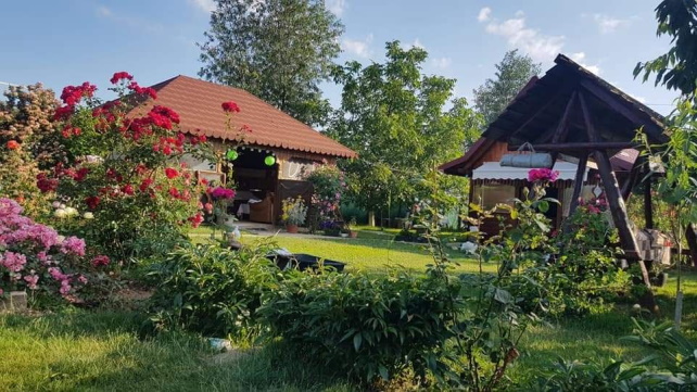 Blick auf ein Haus mit Garten in einem rumänischen Dorf.